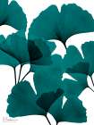 Teal Ginko Bunch 1 Art Print