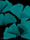 Teal Ginko Dark Bunch 2 Art Print