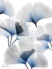 Bright Blue Ginko Bunch 1 Art Print