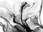 Beautiful Growth 1 Art Print