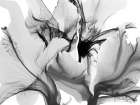 Beautiful Growth 3 Art Print