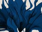 Blue Expression 2 Art Print