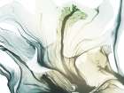 Fanatical Beauty 1 Art Print