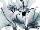 Stunning Ambition 1 Art Print