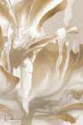 Natural Creator 1 Art Print
