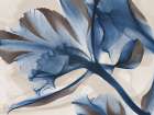 Skyward Growth 1 Art Print