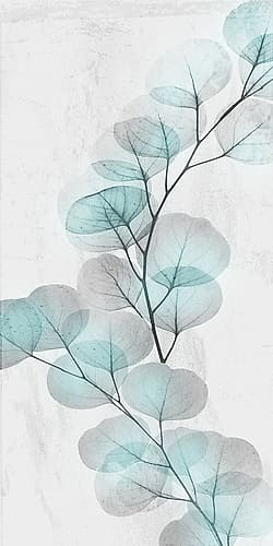 Eucalyptus Glow 2 Nature Print