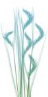 Serene Flourish 1 Art Print