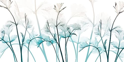 Amethyst Breeze 1 Nature Print