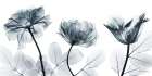 Compassion Of Sensitivity 1 Art Print