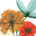 Inspired Bunch 1 Art Print