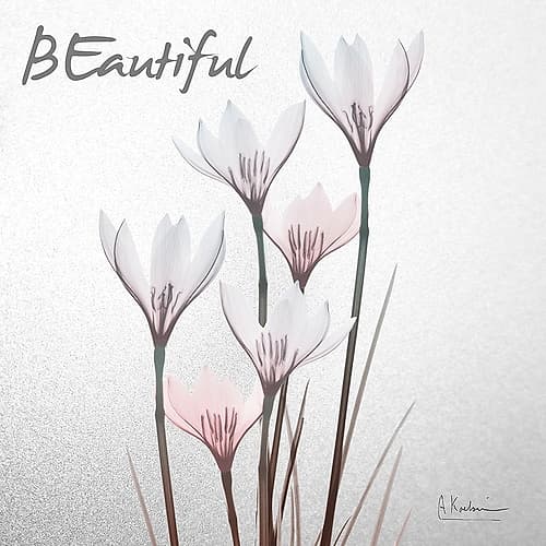 Beautiful White Rain Lily 1 Art Print