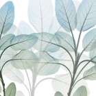 Resilient Growth 1 Botanical Print