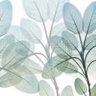 Resilient Growth 2 Botanical Print