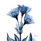 Indigo Gentian Art Print
