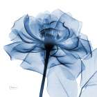 Indigo Rose Art Print
