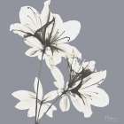 Splendid Neutral Beauty 1 Art Print