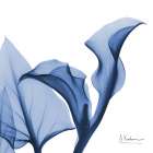 Indigo Calla Love Art Print
