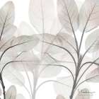 Mocha Growth 1 Botanical Print
