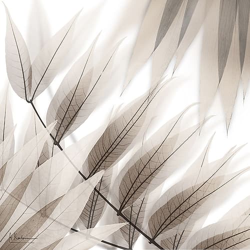 Divine Fate 1 Nature Print