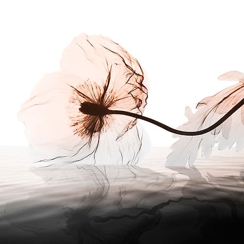 Distorted Harmony 1 Minimalist Print