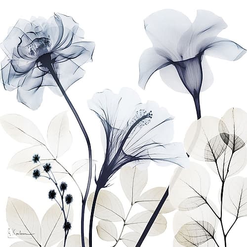 Generous Blooms 1 Art Print