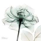 Emerald Rose 1 Art Print
