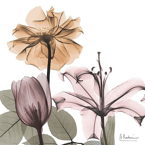 Earthy Bouquet 1 Art Print