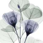 Future Blooms 2 Art Print