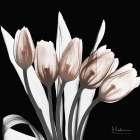 Marvelous Mocha Tulips 1 V2 Art Print