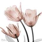 Spectacular Mocha Trio 1 Art Print