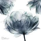 Wonder Of Grace Art Print