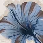 Sapphire Change 1 Art Print