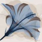 Sapphire Change 2 Art Print