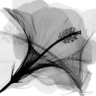 Changing Monochromatic Reception 2 Minimalist Print