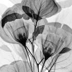Serene Gray Union 2 Modern Print