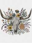 Wildflower Longhorn Art Print