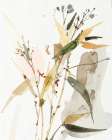 Leafy Twigs 2 Art Print