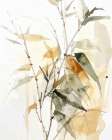 Leafy Twigs 3 Art Print