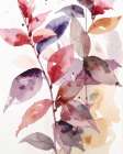 Touch Of Spring 1 Art Print
