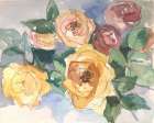 Flowers From May 2 Art Print