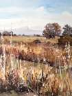 Peaceful Meadow 2 Art Print
