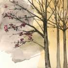 Flowering Tree 1 Art Print