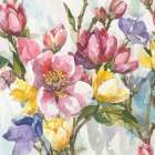 Delicate Elegance 4 Art Print