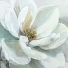 Flower Profile 3 Art Print
