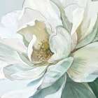 Flower Profile 4 Art Print