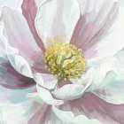 Fresh Cut Flower 1 Art Deco Print