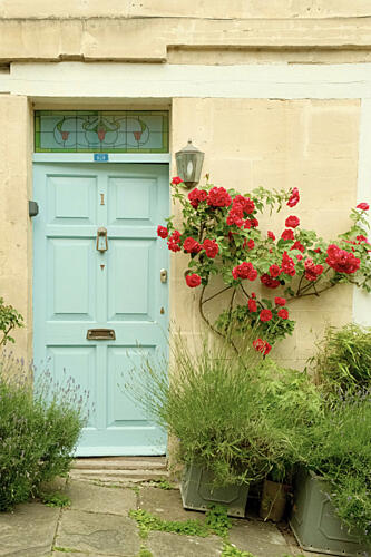 English Door 2 Art Print by Alicia Stanhouse Pyatt