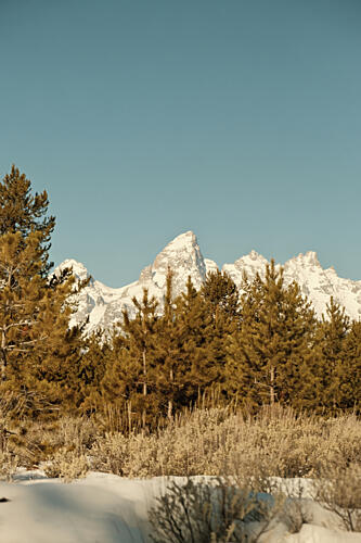 Grand Tetons Montagne reproduction
