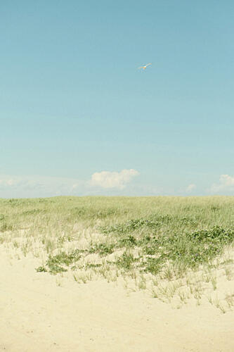 Nantucket Beach Plage reproduction